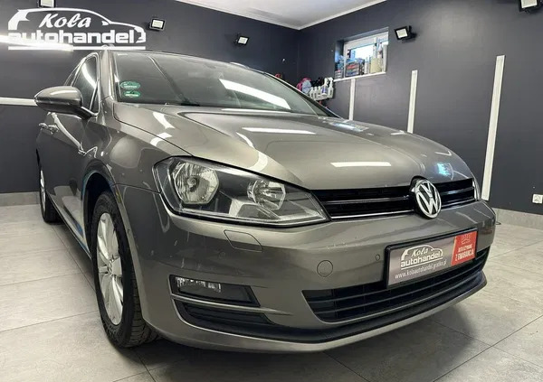 volkswagen Volkswagen Golf cena 39999 przebieg: 270748, rok produkcji 2014 z Tuchów